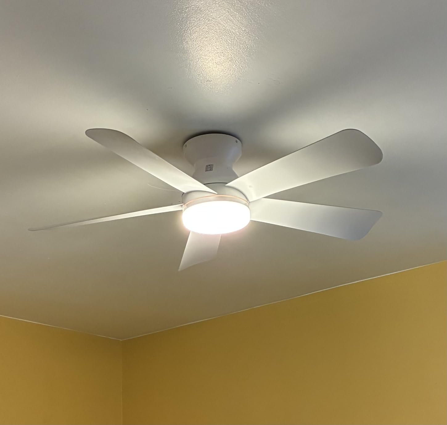 Depuley Modern Ceiling Fan with Light: 42-Inch Black Small Fans for Bedroom Indoor Outdoor - Dimmable Low Profile Ceiling Fans with Remote Control Flush Mount 5 Reversible Black Blades 6 Speeds Timer - Customer Photo 1