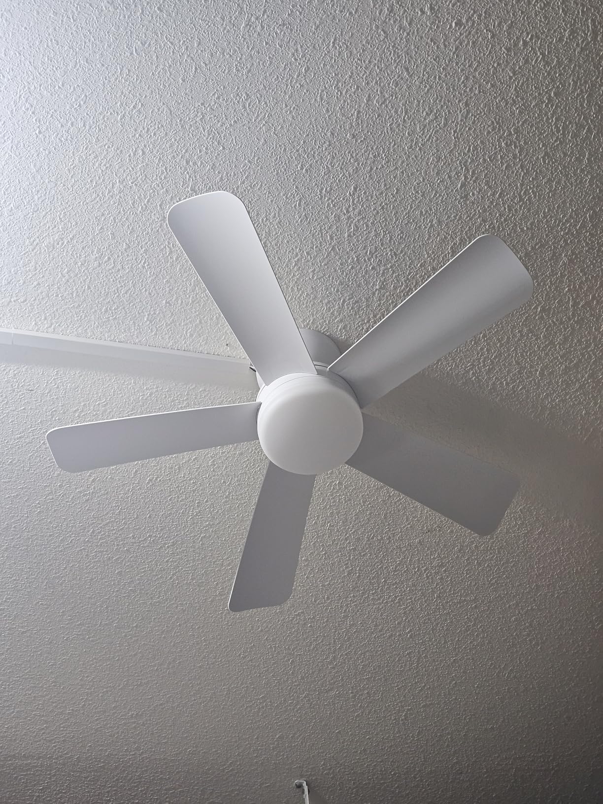 Depuley Modern Ceiling Fan with Light: 42-Inch Black Small Fans for Bedroom Indoor Outdoor - Dimmable Low Profile Ceiling Fans with Remote Control Flush Mount 5 Reversible Black Blades 6 Speeds Timer - Customer Photo 2