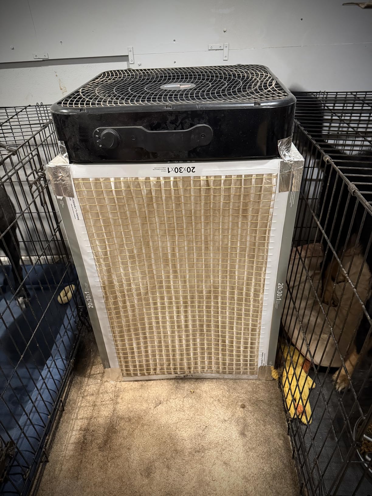 PELONIS 20 Inch Box Fan – 3 Speeds, Window Fans, Floor or Tabletop, 25ft/s, 2025 Upgraded, Superior Air Throw (2295 CFM), Lightweight, 5 Blades, Fans for Bedroom, Office, Living Room, Garage - Customer Photo 1