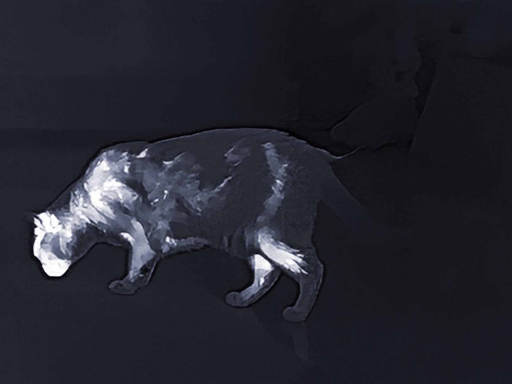 T2 Pro Thermal Monocular for iPhone, 1579 Yards Hunting Night Vision Scope with 13mm Lens, Tactical Handle, Scope Mount, Infrared Camera for Outdoor Detecting Deer - Customer Photo 2