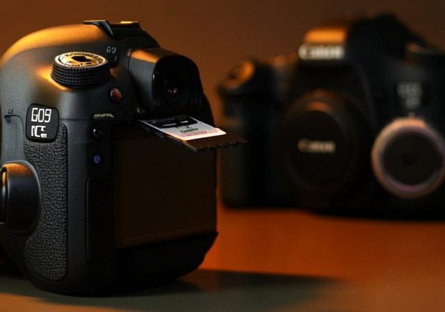 Best Memory Card Canon 6D: 8 SD Cards Tested by Professional Photographers - GreenwashingIndex