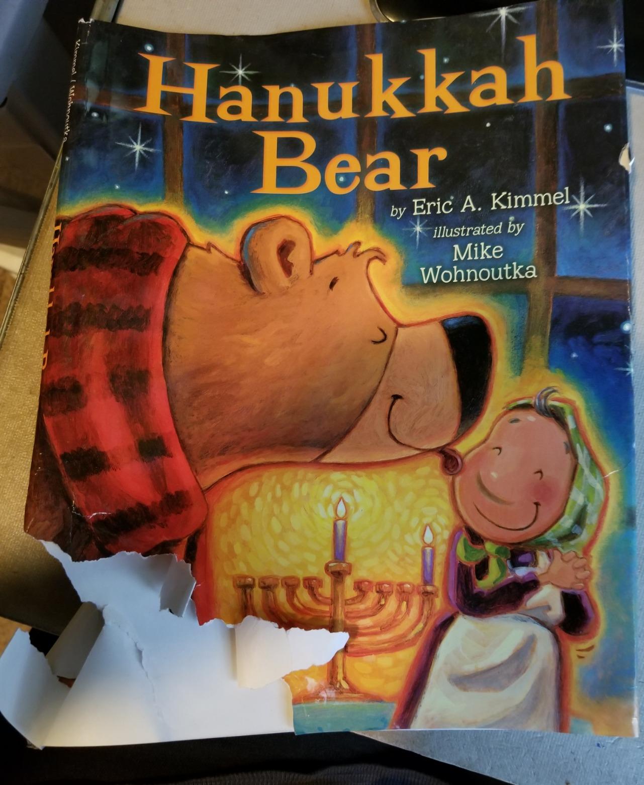 Hanukkah Bear - Customer Photo 1