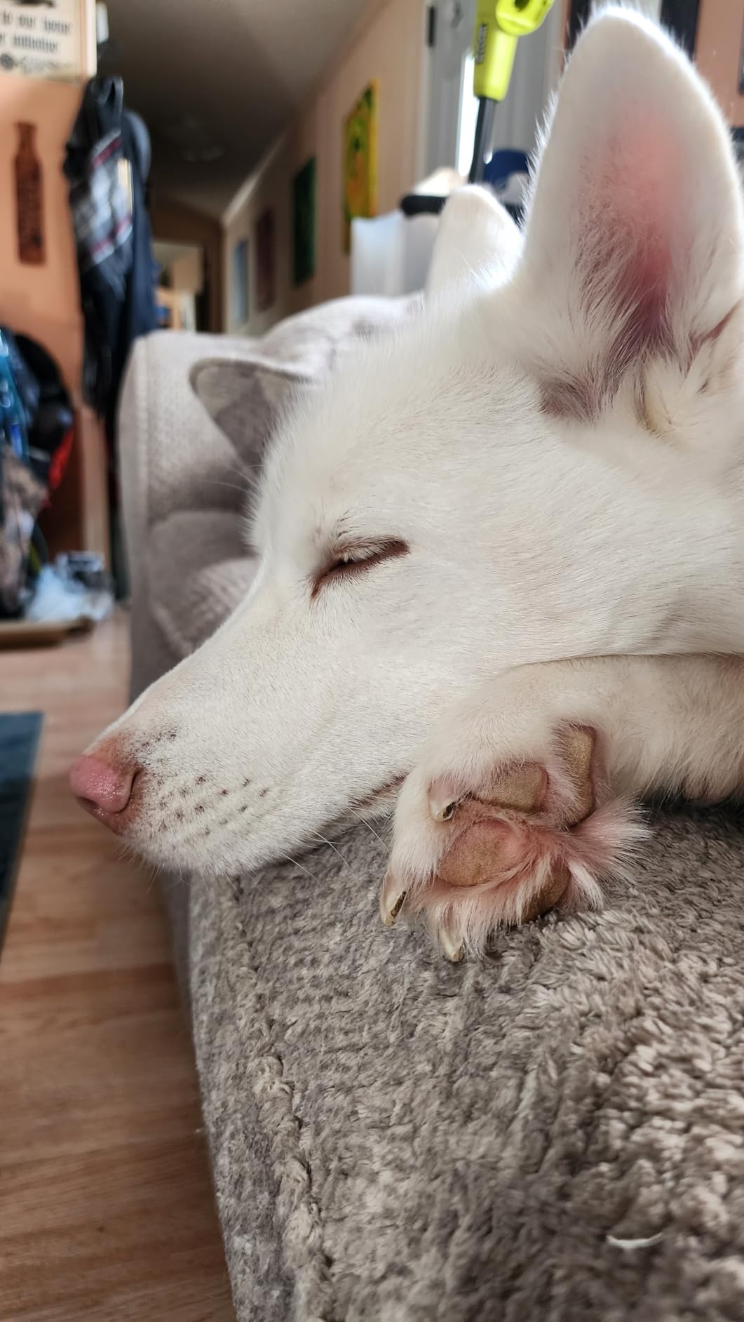 Wahl Groomsman Battery Operated Facial Hair Trimmer for Beard & Mustache Trimming Including Light Detailing and Body Grooming – Model 9906-717V - Customer Photo 1