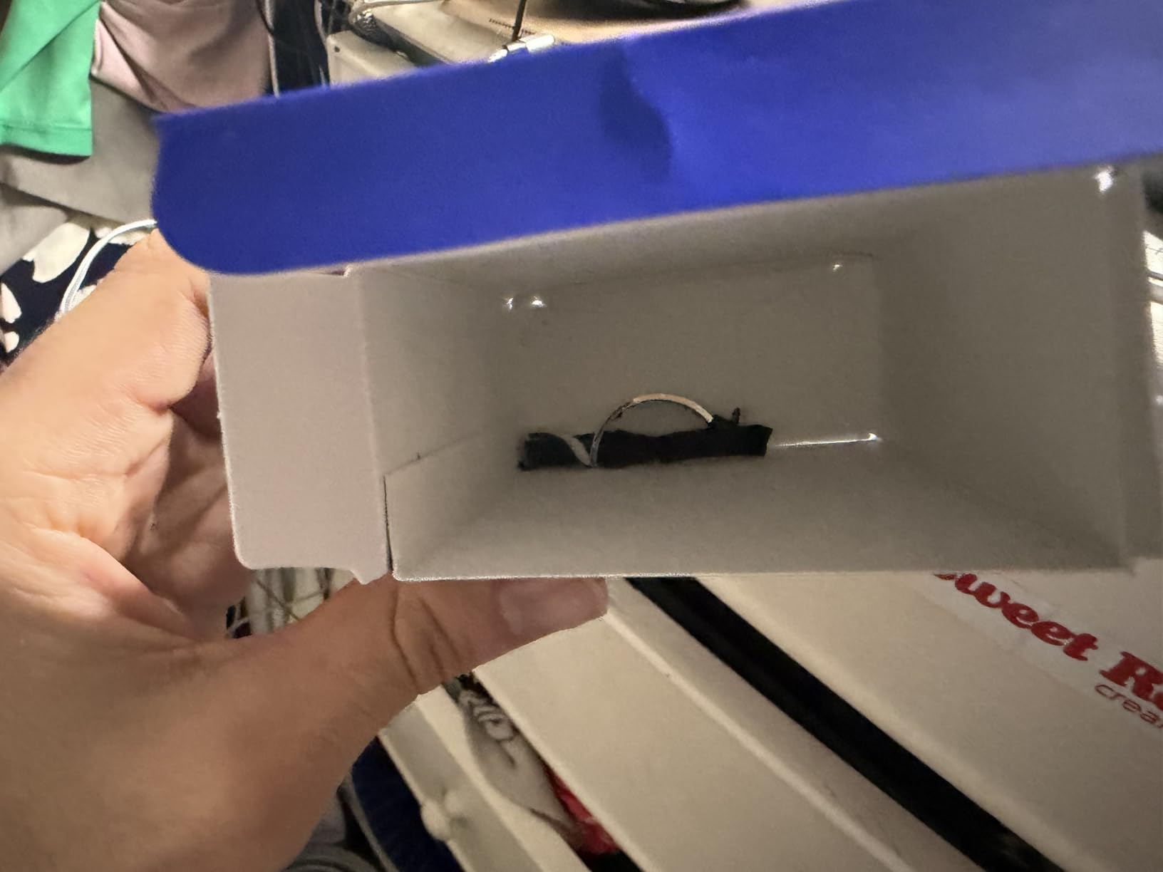 Nautica Voyage Eau De Toilette, Cologne and Fragrance For Men, Fresh, Romantic, Fruity Scent Woody, Aquatic Notes of Apple, Water Lotus, Cedarwood, and Musk Ideal Day Wear, Long Lasting 3.3Fl oz - Customer Photo 4