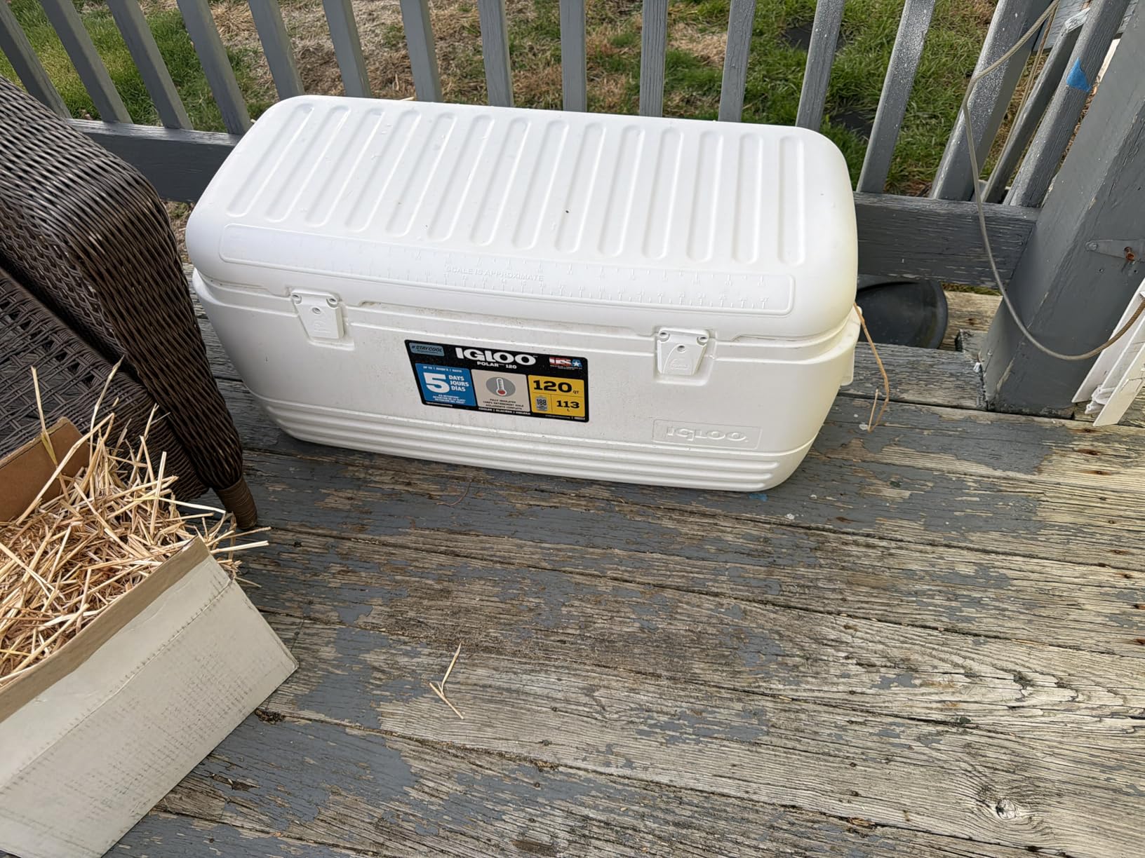 Igloo Hard Cooler | Polar & Party Bar Series | Insulated Ice Chests - Customer Photo 1
