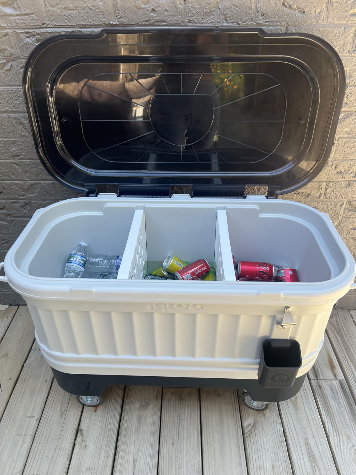 Igloo Hard Cooler | Polar & Party Bar Series | Insulated Ice Chests - Customer Photo 2