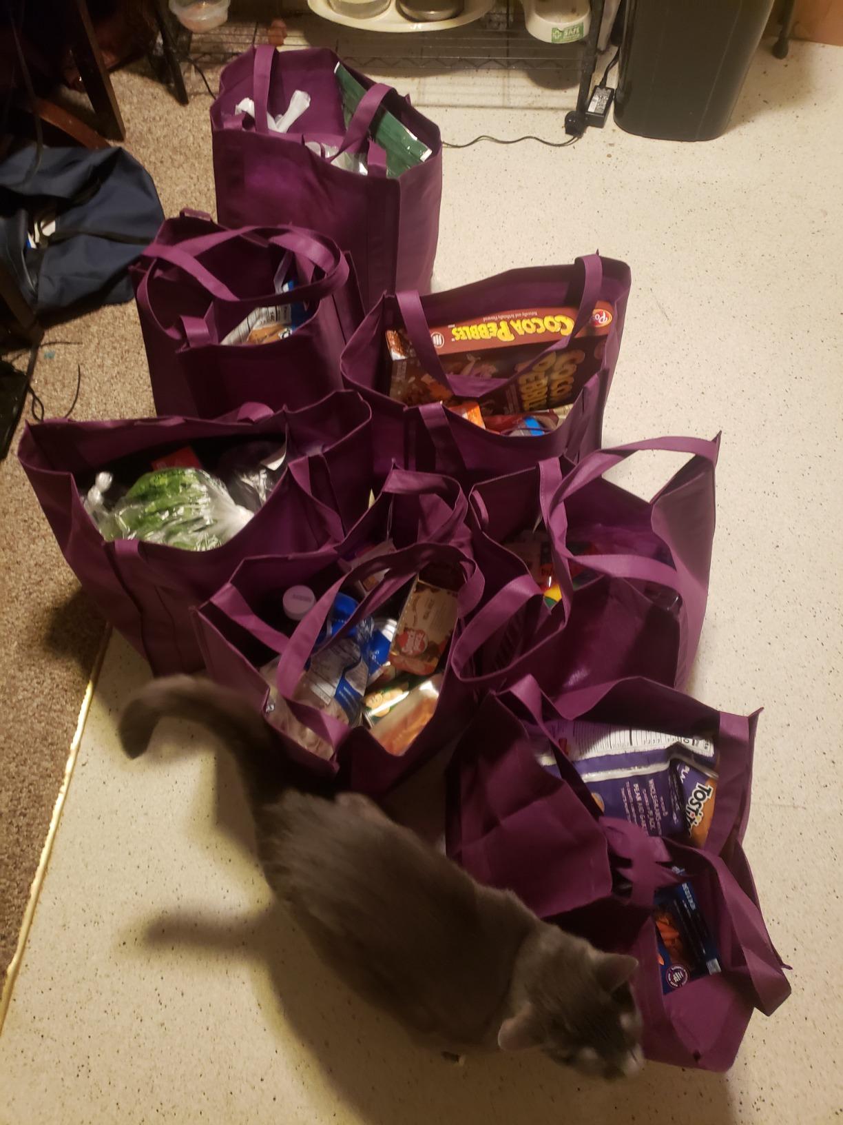 Simply Green Solutions - Reusable Grocery Bags, Wide Tote Bags with 20-Inch Reinforced Handle, Shopping Bags for Groceries, Reusable Gift Bags with Handles, 13 x 15 x 10, Pack of 10, Hunter Green - Customer Photo 2