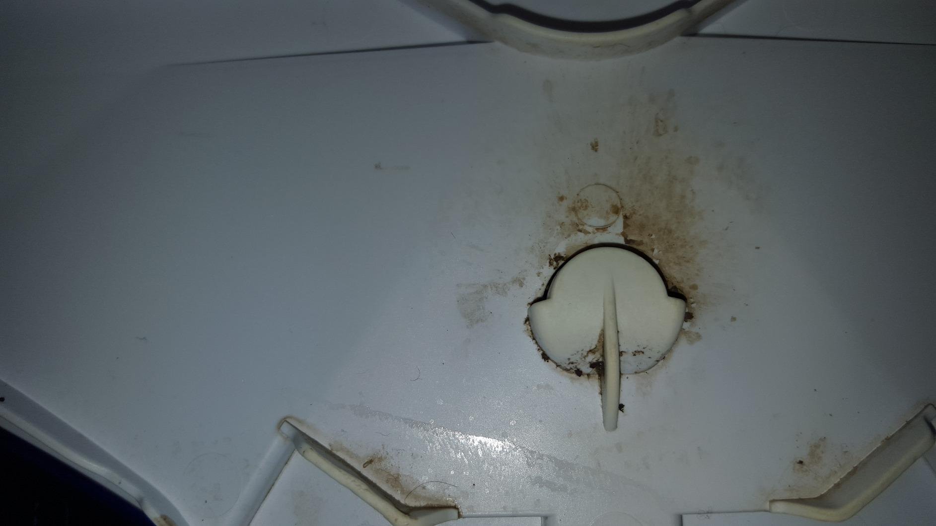 Bissell Power Fresh Steam Mop with Natural Sanitization, Floor Steamer, Tile Cleaner, and Hard Wood Floor Cleaner with Flip-Down Easy Scrubber, 1940A - Customer Photo 4