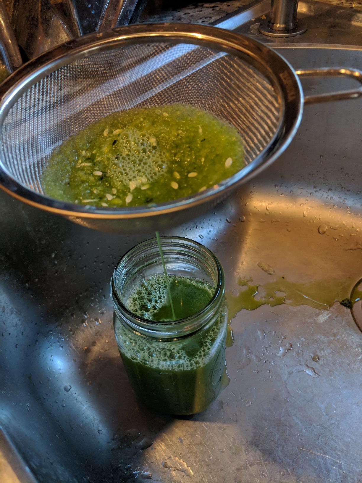 Omega Juicer Premium Vegetable and Fruit Juice Extractor and Nutrition System Makes Nut Milks Baby Food and Sorbets, Adjustable Pressure Settings 80-RPM Slow Masticating Juicer, 150-Watts, Silver - Customer Photo 1