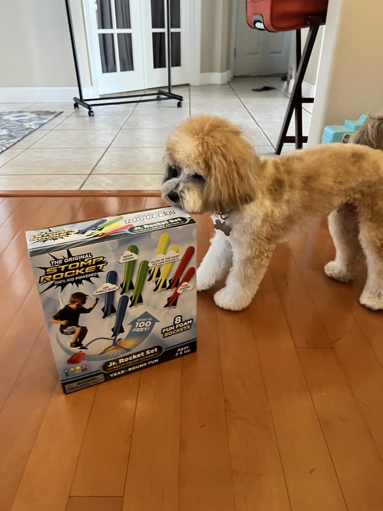 Stomp Rocket Jr Multi-Color Rocket Launcher for Kids, 8 Rockets - Fun Outdoor Kids Gifts for Boys & Girls - STEM Toy Foam Blaster Set Soars Up to 100 Feet - Ages 3 & Up - Customer Photo 3