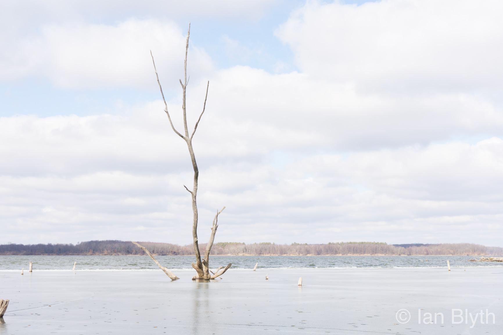 Sony Alpha a6000 Mirrorless Digital Camera 24.3MP SLR Camera with 3.0-Inch LCD (Black) w/16-50mm Power Zoom Lens - Customer Photo 2