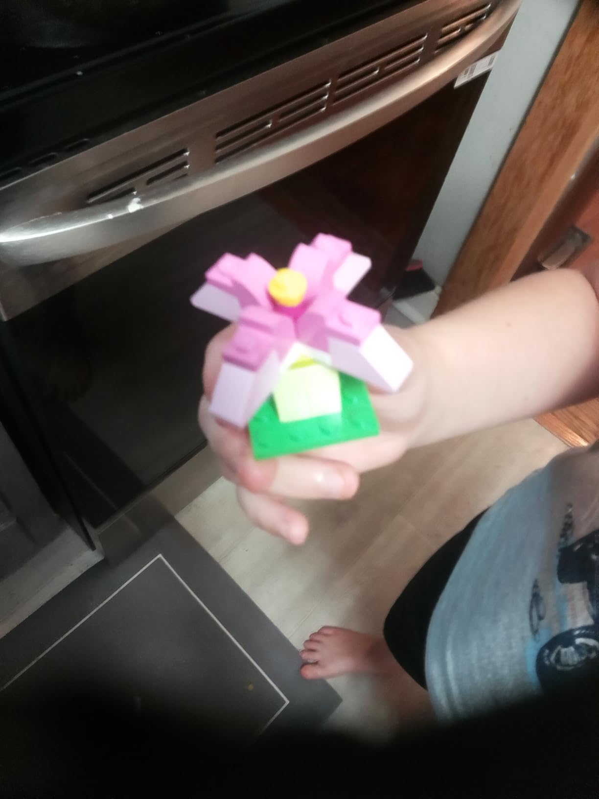 LEGO Classic Medium Creative Brick Box 10696 Building Toy Set - Featuring Storage, Includes Train, Car, and a Tiger Figure, and Playset for Kids, Boys, and Girls Ages 4-99 - Customer Photo 4