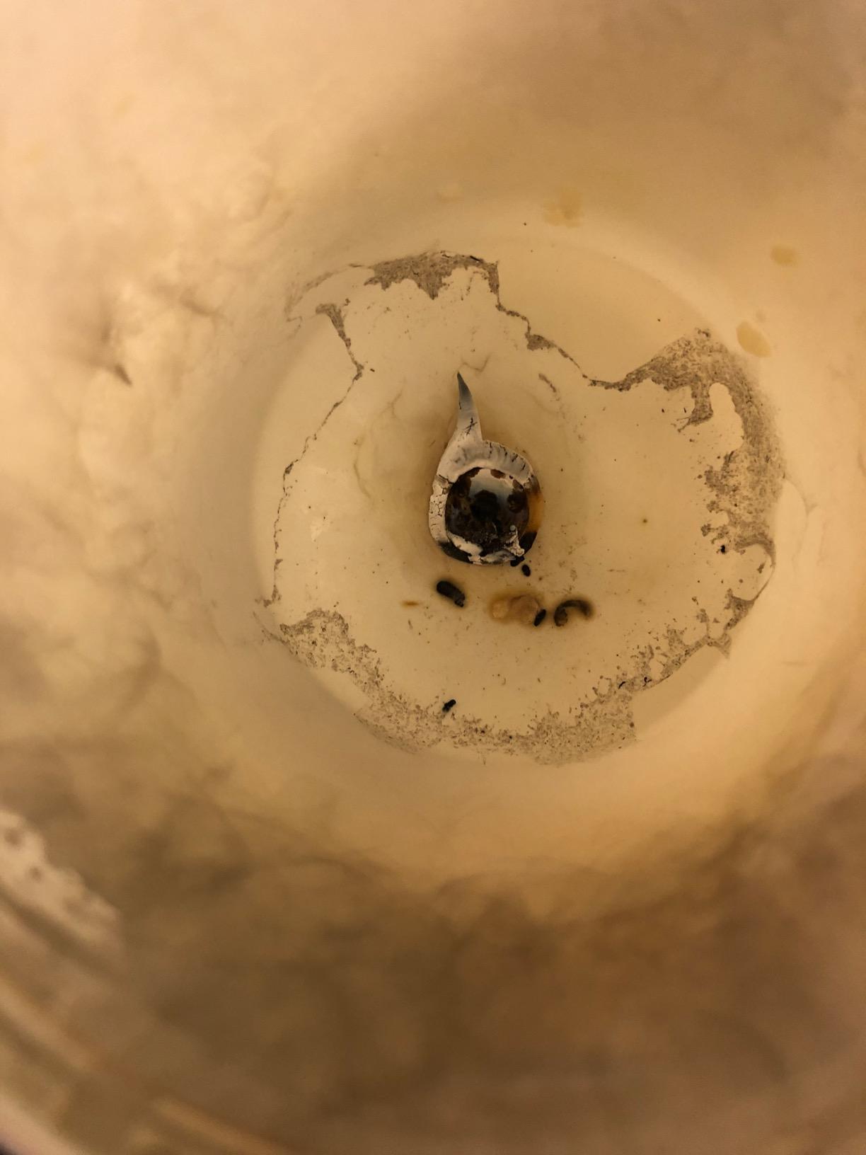 LA JOLIE MUSE Jasmine Candle, Mothers Day Gifts Candles for Women with Gift Box, Scented Candles for Home Scented, Luxury White Natural Soy Candle, 70 Hours 10 oz - Customer Photo 1