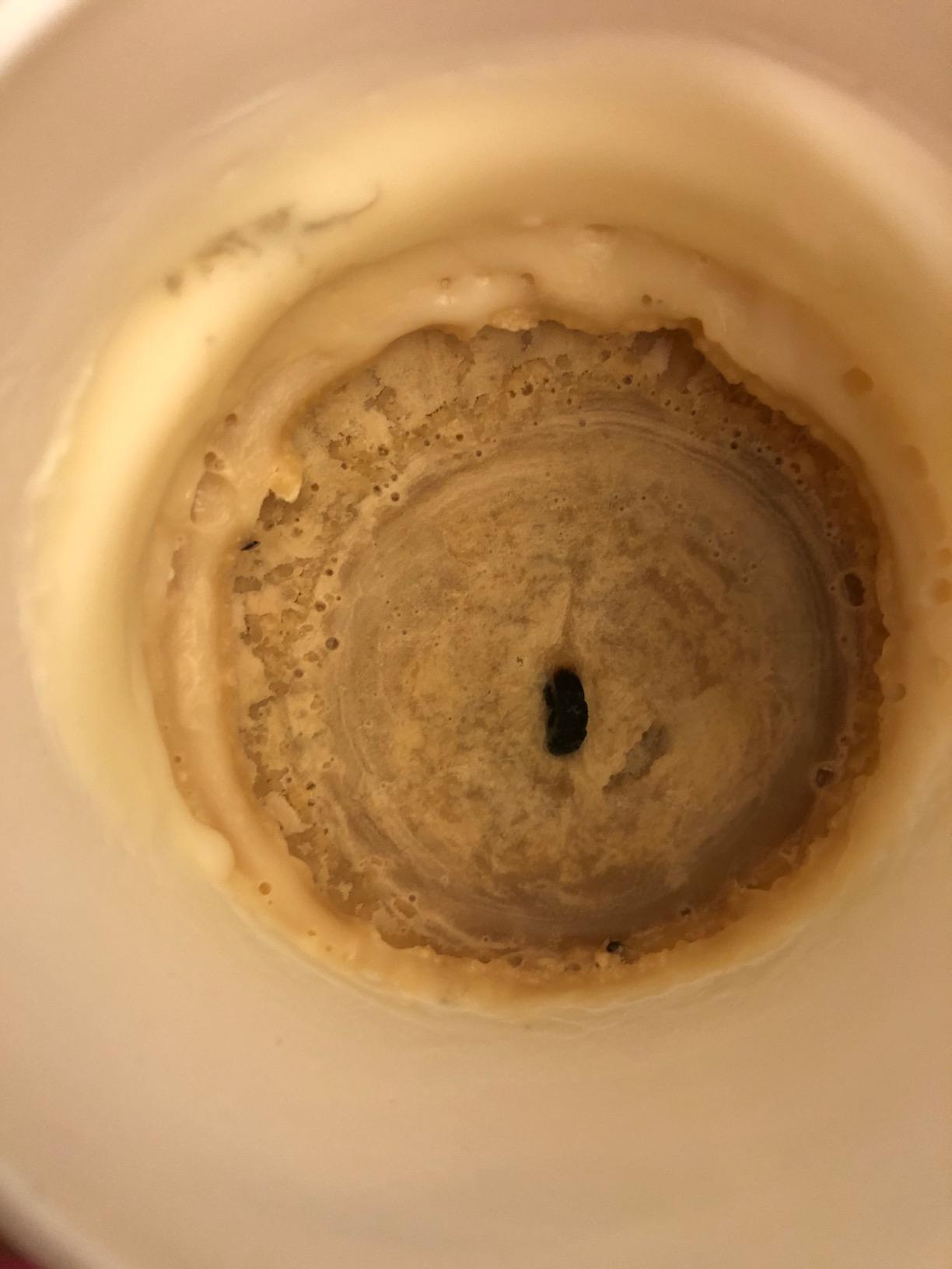 LA JOLIE MUSE Jasmine Candle, Mothers Day Gifts Candles for Women with Gift Box, Scented Candles for Home Scented, Luxury White Natural Soy Candle, 70 Hours 10 oz - Customer Photo 2