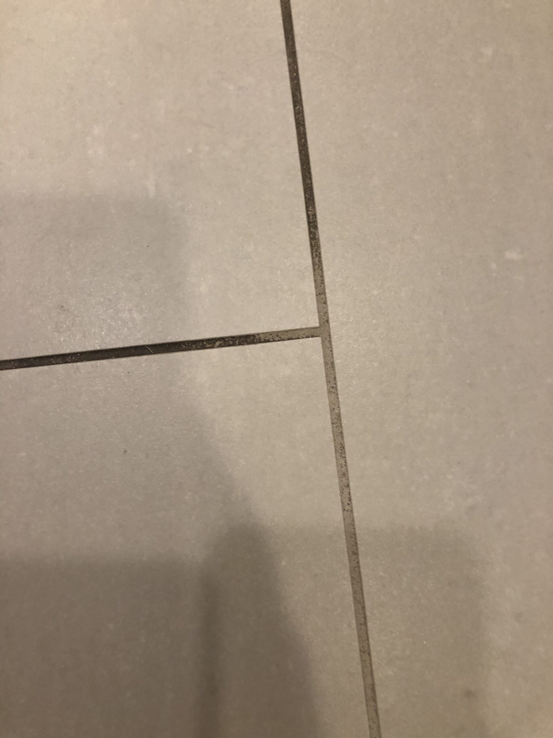 Bissell Steam Mop, Steamer, Tile, Hard Wood Floor Cleaner, 1806, Sapphire Powerfresh Deluxe - Customer Photo 3