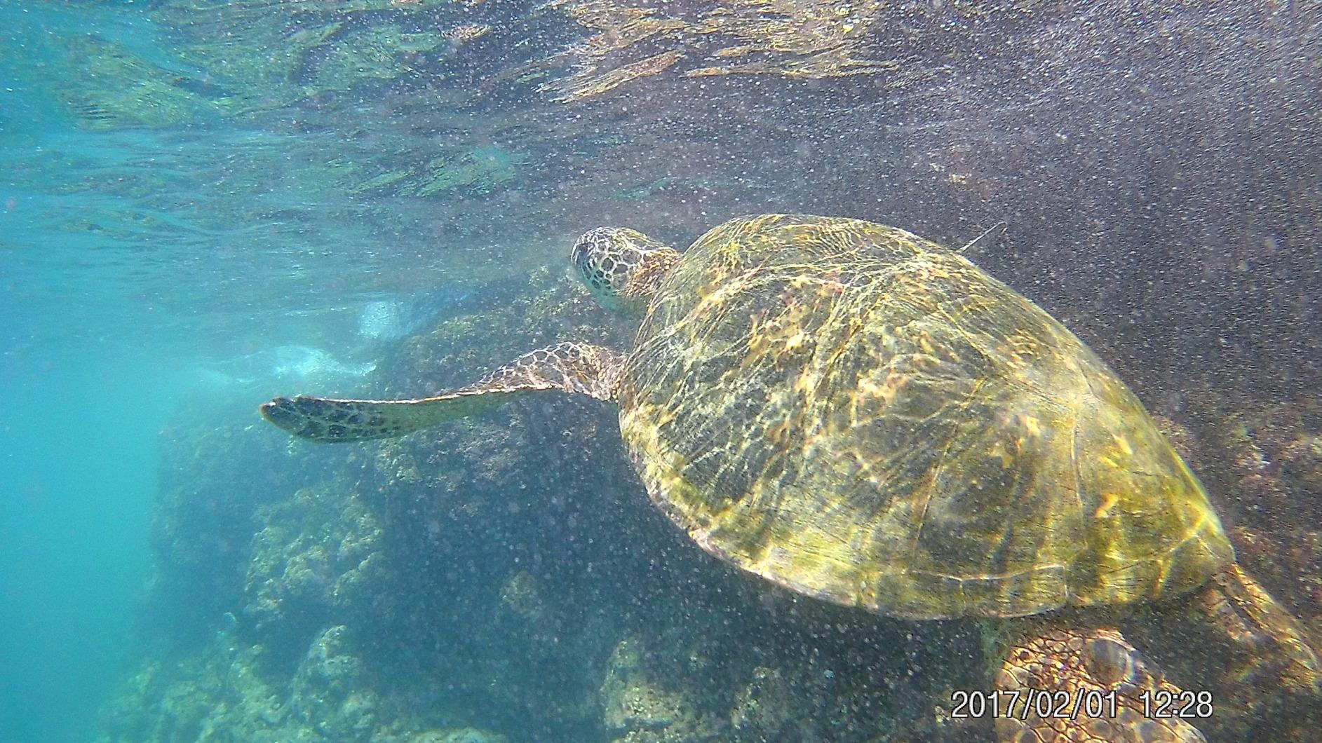 AKASO EK7000 4K30FPS 20MP WiFi Action Camera with EIS Ultra HD 131FT Waterproof Underwater Camera Remote Control 4X Zoom Support External Microphone Black - Customer Photo 2