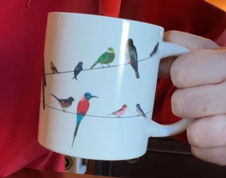 The Unemployed Philosophers Guild Birds on a Wire Heat Changing Mug - Add Coffee and Colorful Birds Appear, Comes in a Fun Box - Customer Photo 1