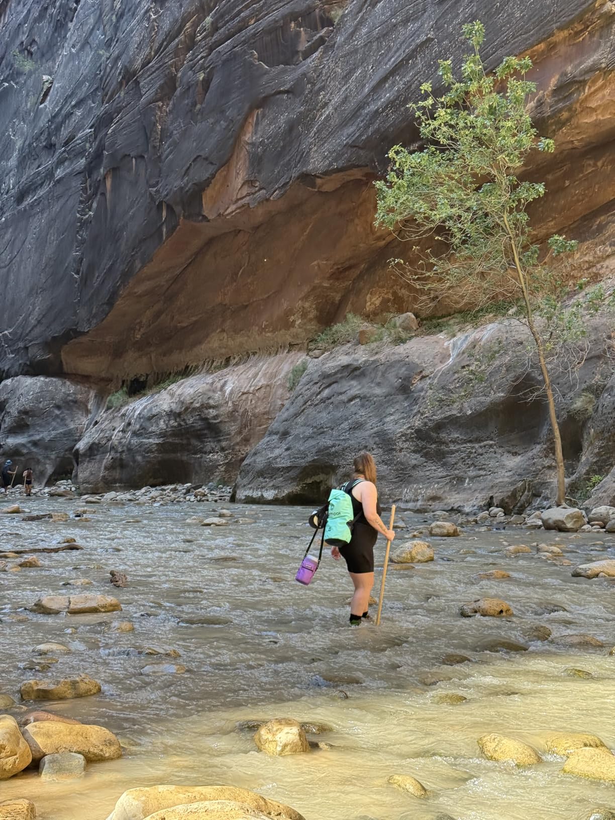 Waterproof Dry Bag - Roll Top Waterproof Backpack Sack Keeps Gear Dry for Kayak with Waterproof Phone Case - Customer Photo 4