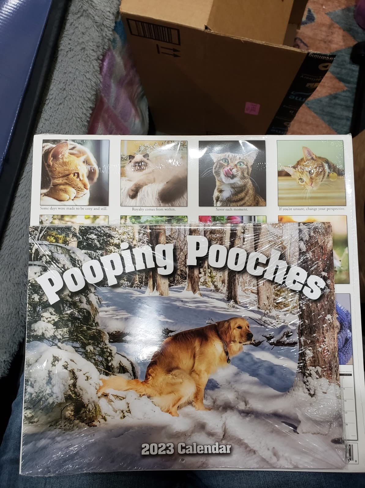 White Elephant Gag Gift Calendar - Customer Photo 4