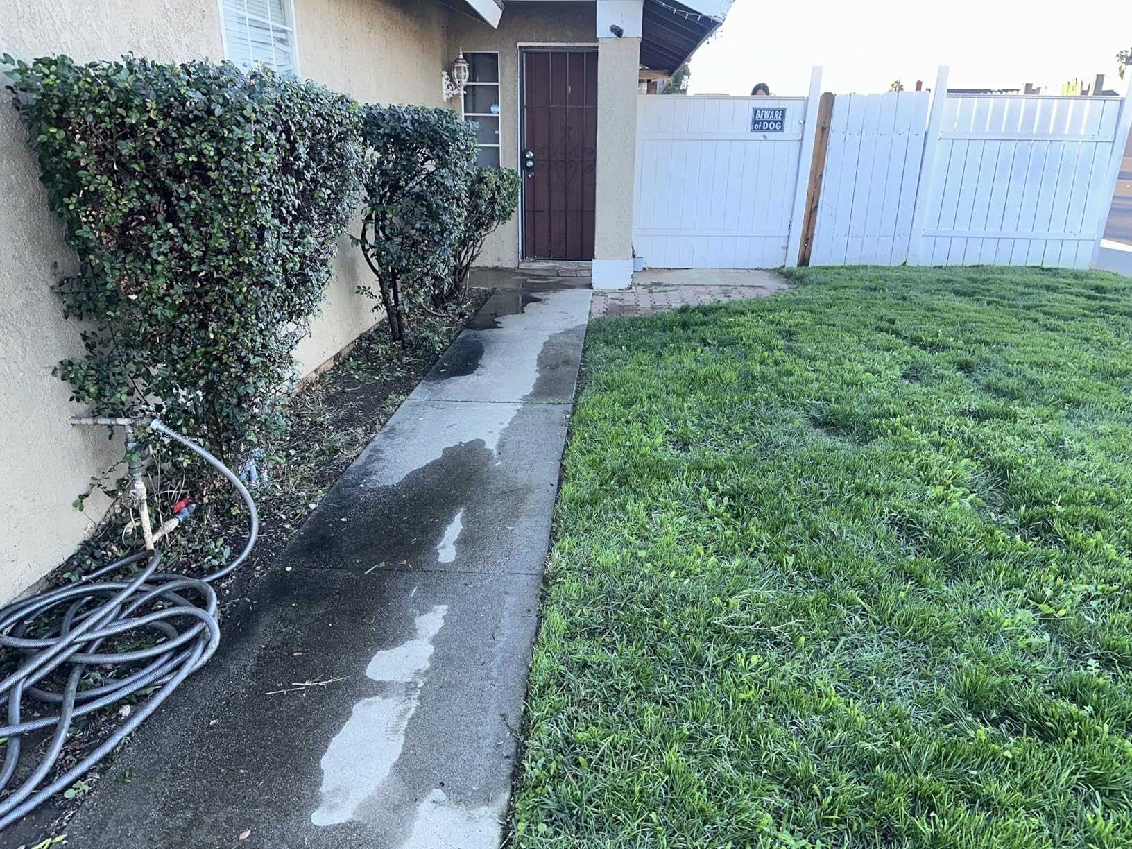 BLACK+DECKER String Trimmer Weed Wacker with Auto Feed Weed Eater, 6.5-Amp, 14-Inch (BESTA510) - Customer Photo 1