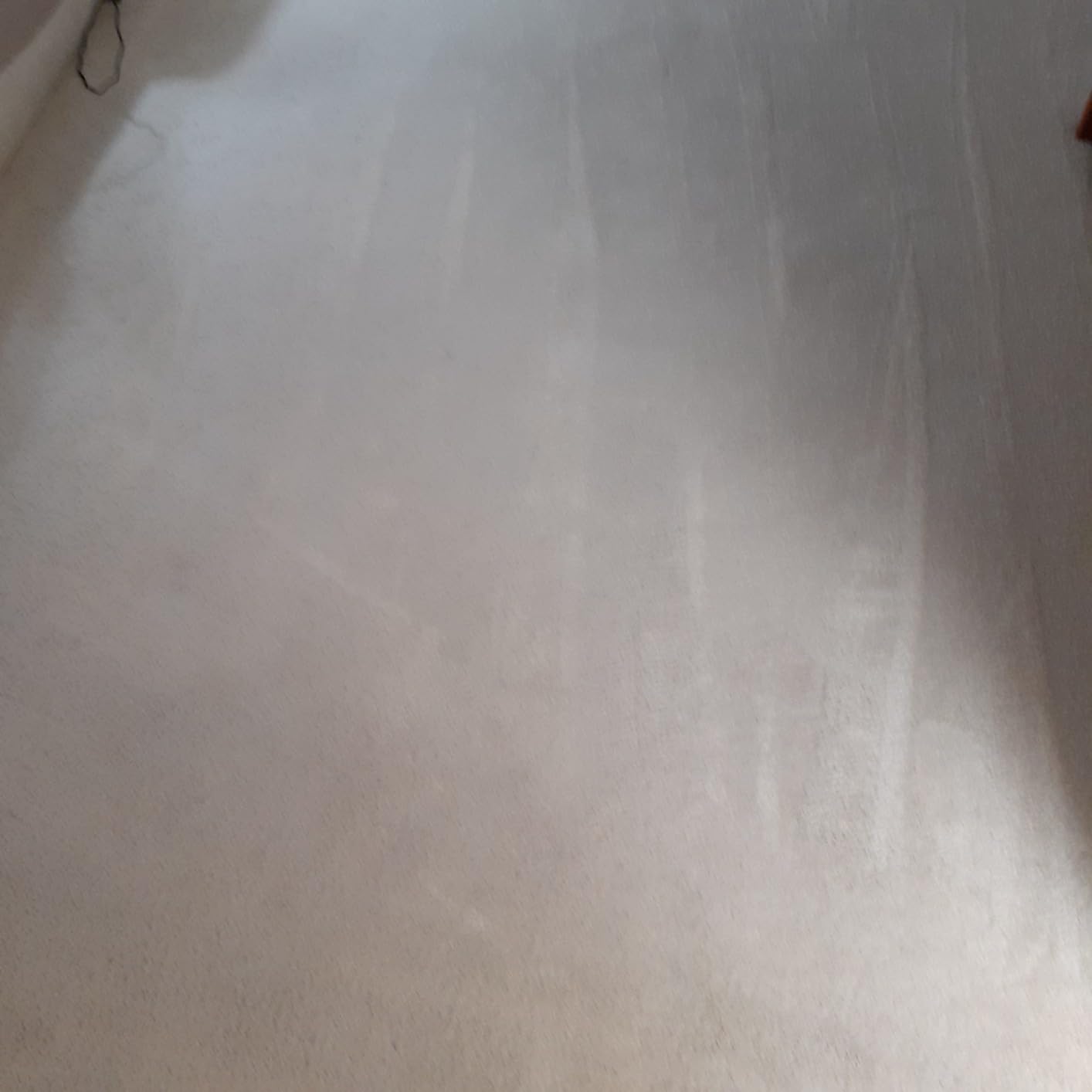 Hoover PowerDash Pet Compact Carpet Cleaner Machine, Lightweight Shampooer Machine, Pair with a Hoover Carpet Cleaner Solution for a Bright, Refreshed Home - Customer Photo 1