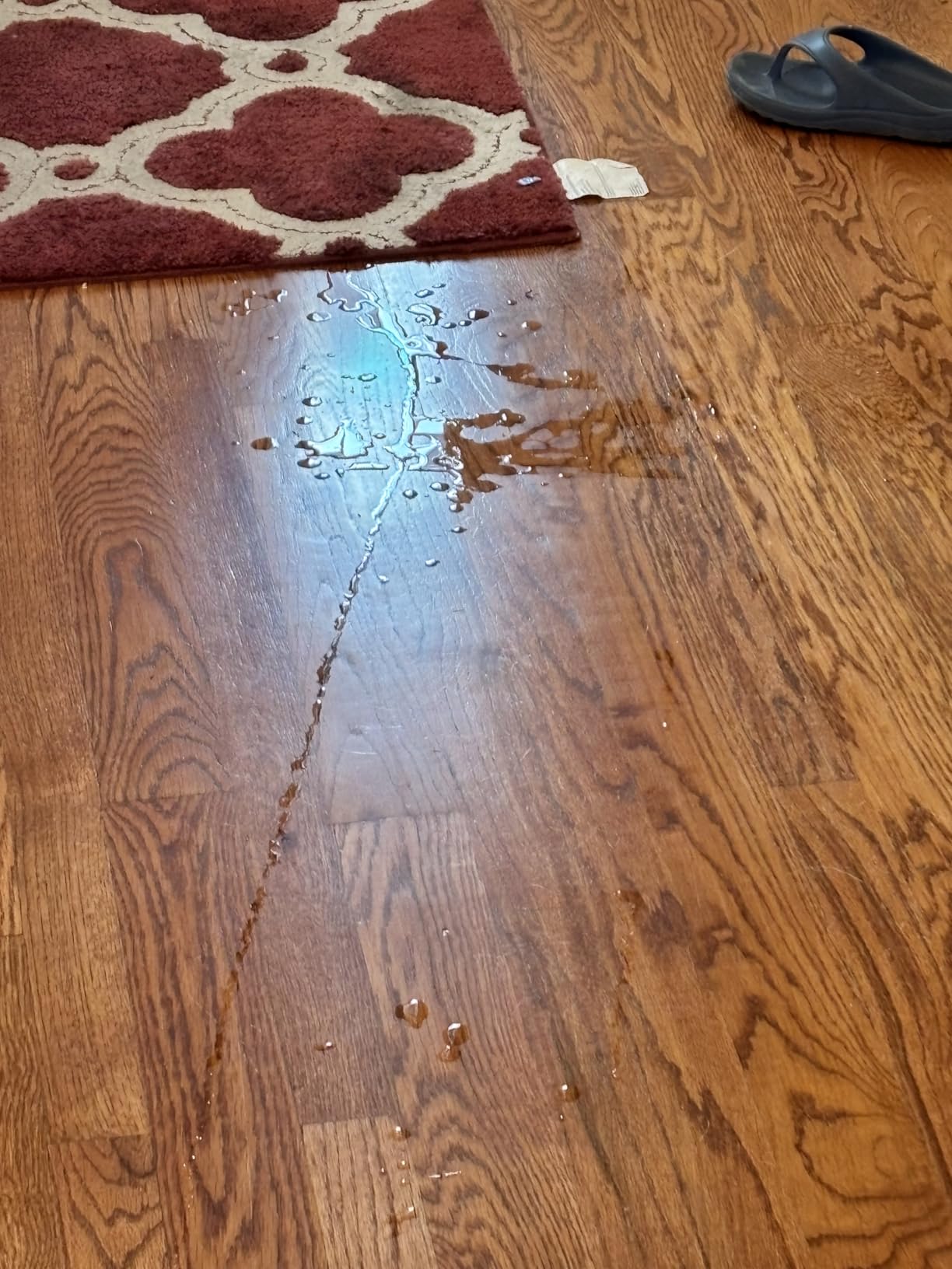 Hoover PowerDash Pet Compact Carpet Cleaner Machine, Lightweight Shampooer Machine, Pair with a Hoover Carpet Cleaner Solution for a Bright, Refreshed Home - Customer Photo 3