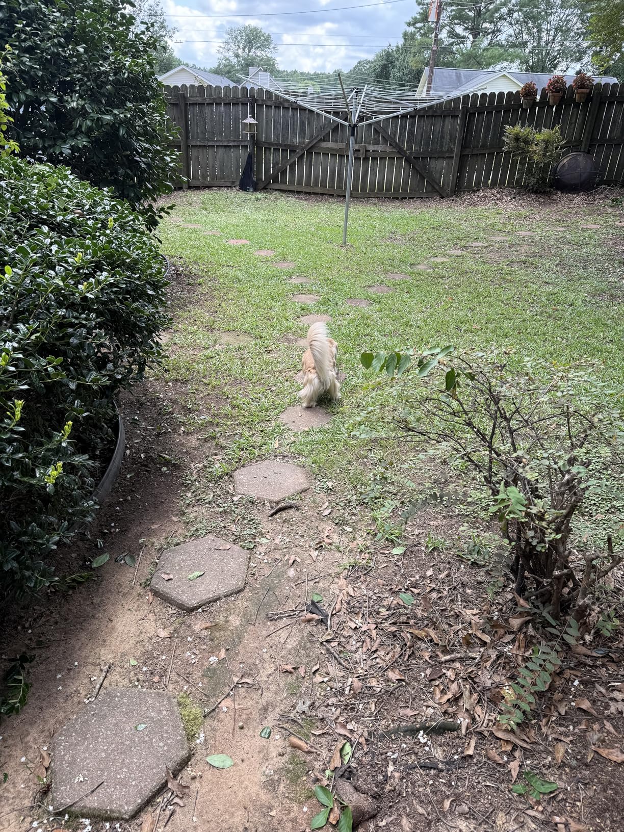 WORX 40V 14 WORX 40V 14