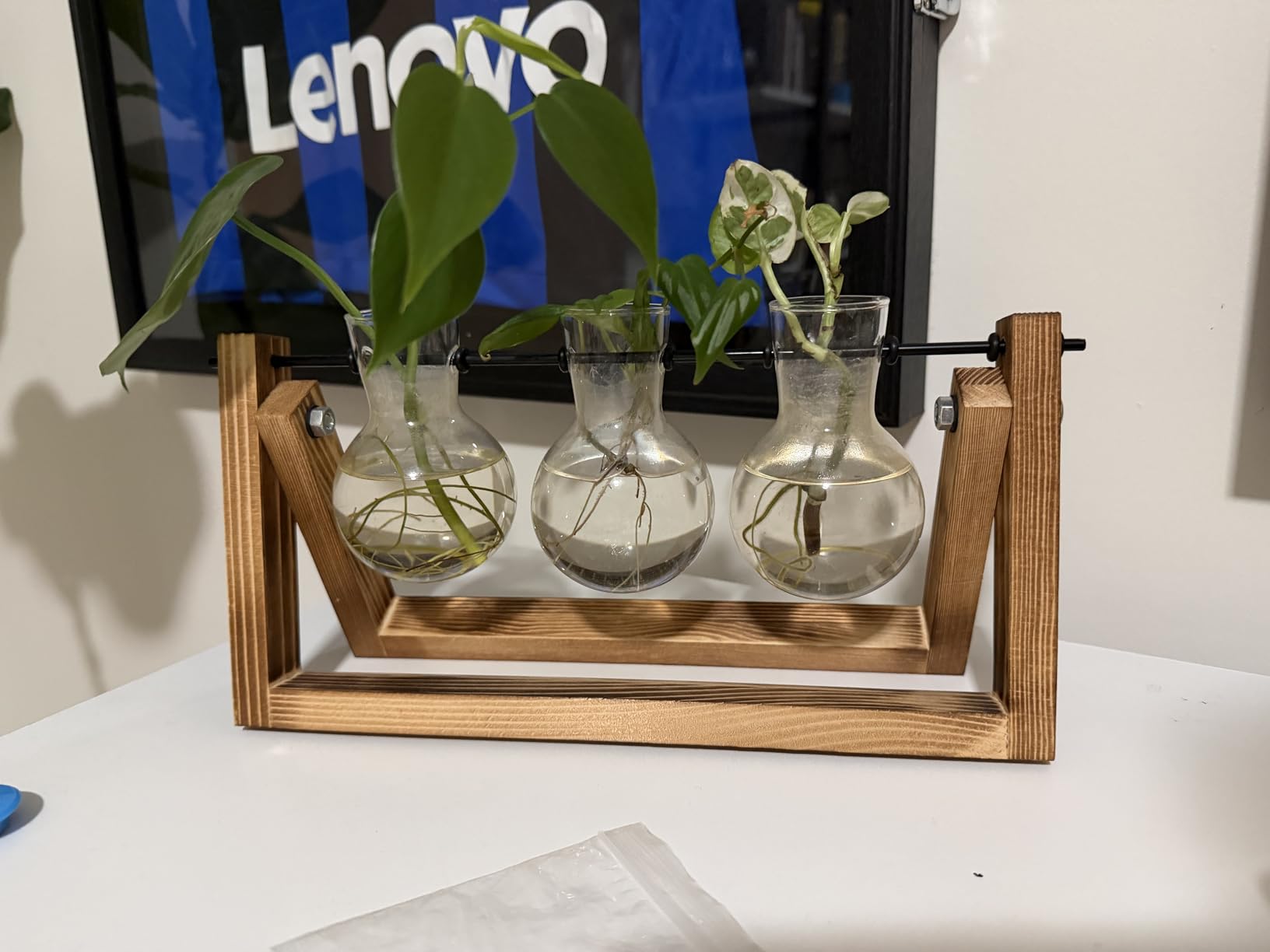 XXXFLOWER Plant Terrarium with Wooden Stand, Air Planter Bulb Glass Vase Metal Swivel Holder Retro Tabletop for Hydroponics Home Garden Office Decoration - 3 Bulb Vase - Customer Photo 1