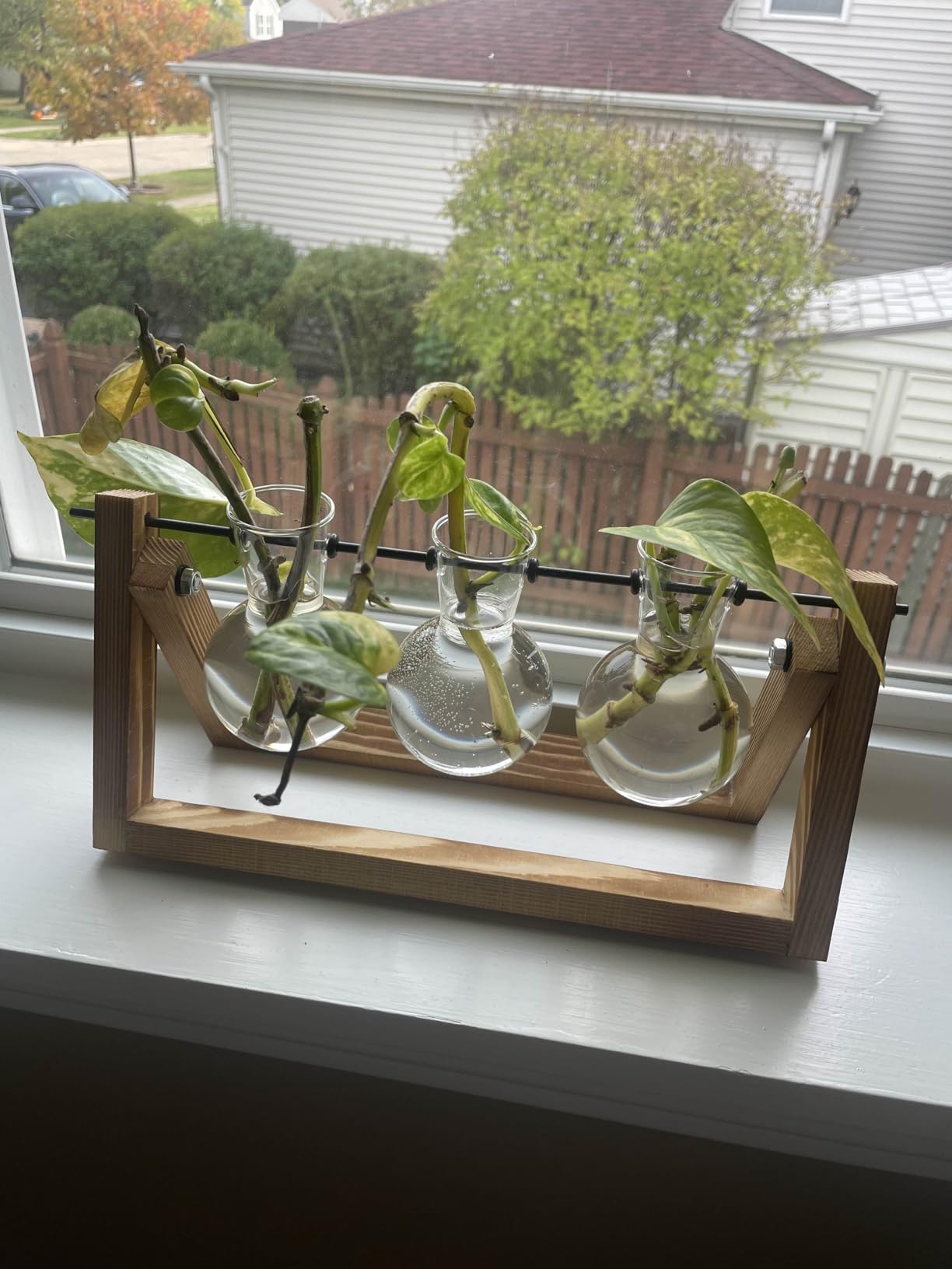 XXXFLOWER Plant Terrarium with Wooden Stand, Air Planter Bulb Glass Vase Metal Swivel Holder Retro Tabletop for Hydroponics Home Garden Office Decoration - 3 Bulb Vase - Customer Photo 3