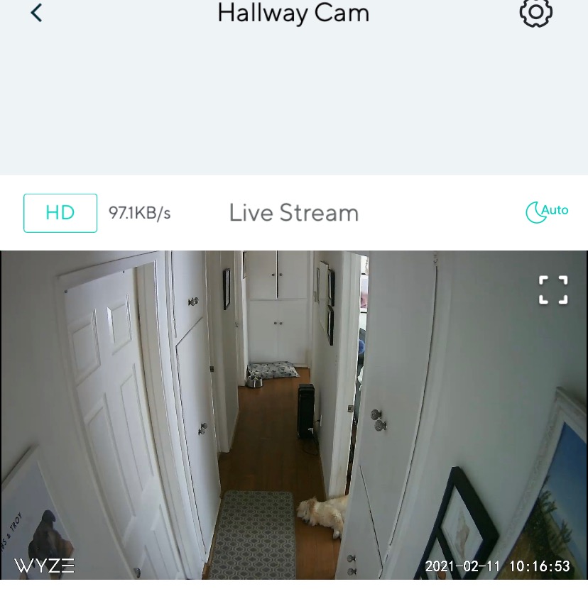 Wyze Expandable Storage 32GB MicroSDHC Card Class 10, Black Customer Review Wyze Expandable Storage 32GB MicroSDHC Card Class 10, Black - Customer Photo 3