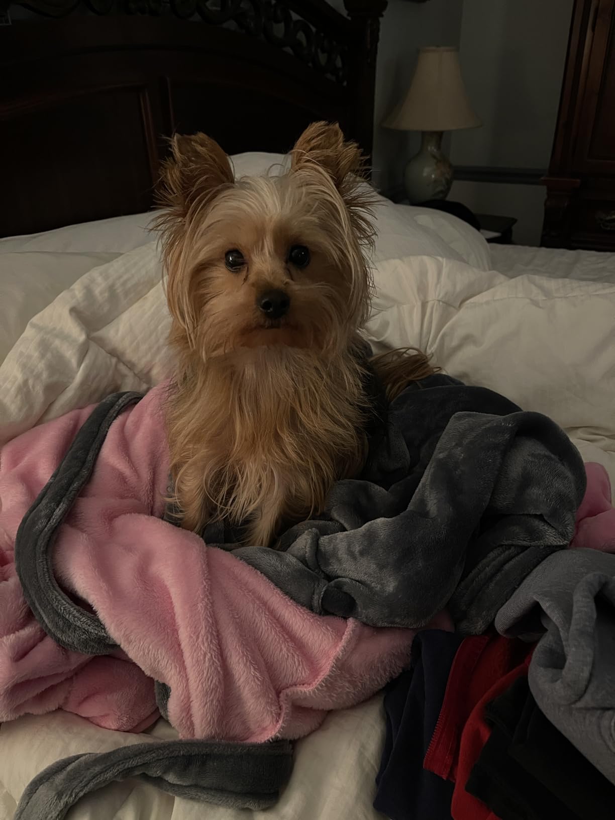 U2SKIIN Mens Hooded Robe, Plush Robes for Men Long Fleece Bathrobe Customer Review U2SKIIN Mens Hooded Robe, Plush Robes for Men Long Fleece Bathrobe - Customer Photo 1