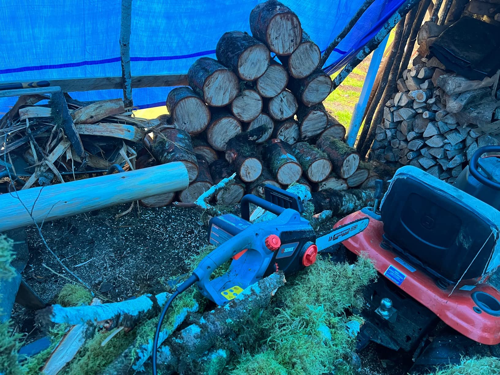 SENIX Electric Chainsaw, 16