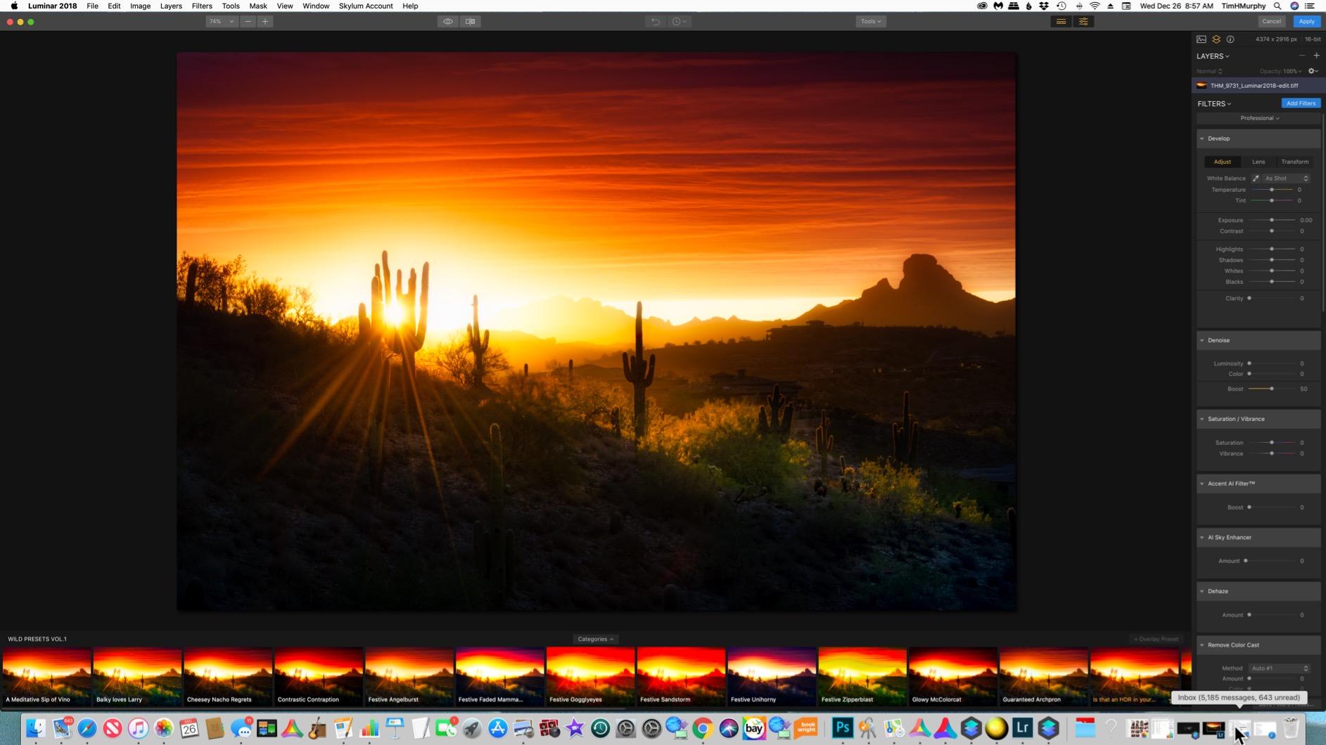 Luminar 3 Photo Editing Software | Professional Image Editing Software with an Easy to Use Interface and Image Libraries | for Mac or PC by Skylum Software - Customer Photo 1