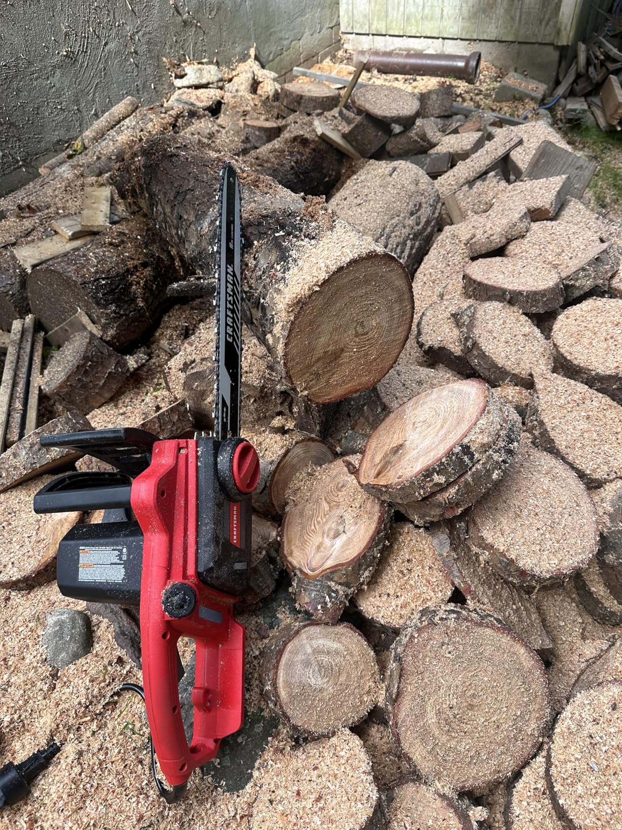 CRAFTSMAN Electric Chainsaw, 16 Inch, 12 Amp Corded Chain Saw Electric, Ergonomic, Powerful Motor - Customer Photo 3