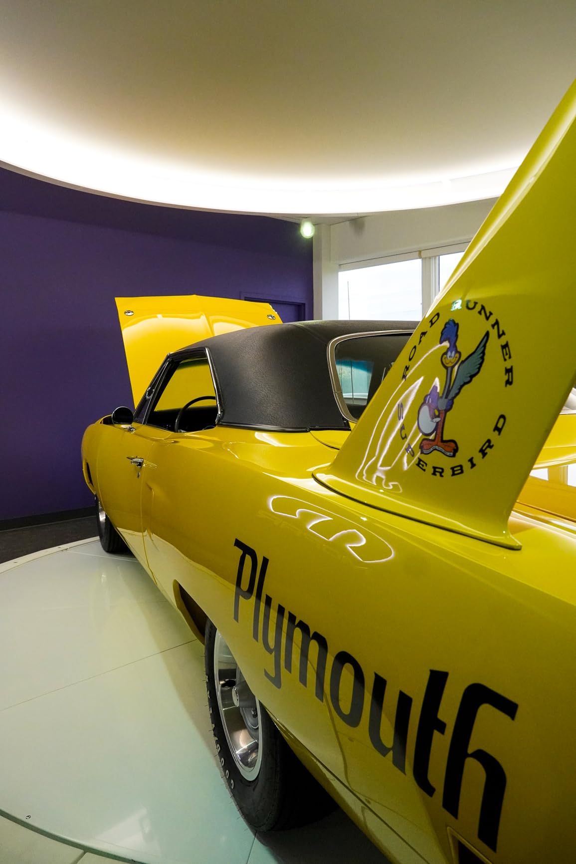 Sony Alpha a6400 Mirrorless Camera: Compact APS-C Interchangeable Lens Digital Camera with Real-Time Eye Auto Focus, 4K Video, Flip Screen & 18-135mm - E Mount Compatible Cameras ILCE-6400M/B - Customer Photo 2