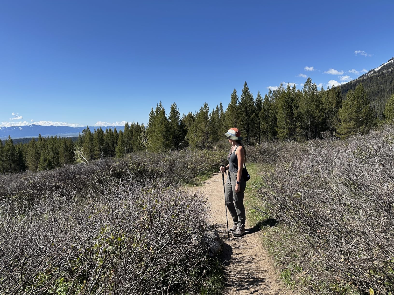 Trekology Trek-Z Collapsible Hiking & Trekking Poles - Balance Support for Seniors, Women, and Men, 2pc Per Set - Customer Photo 1