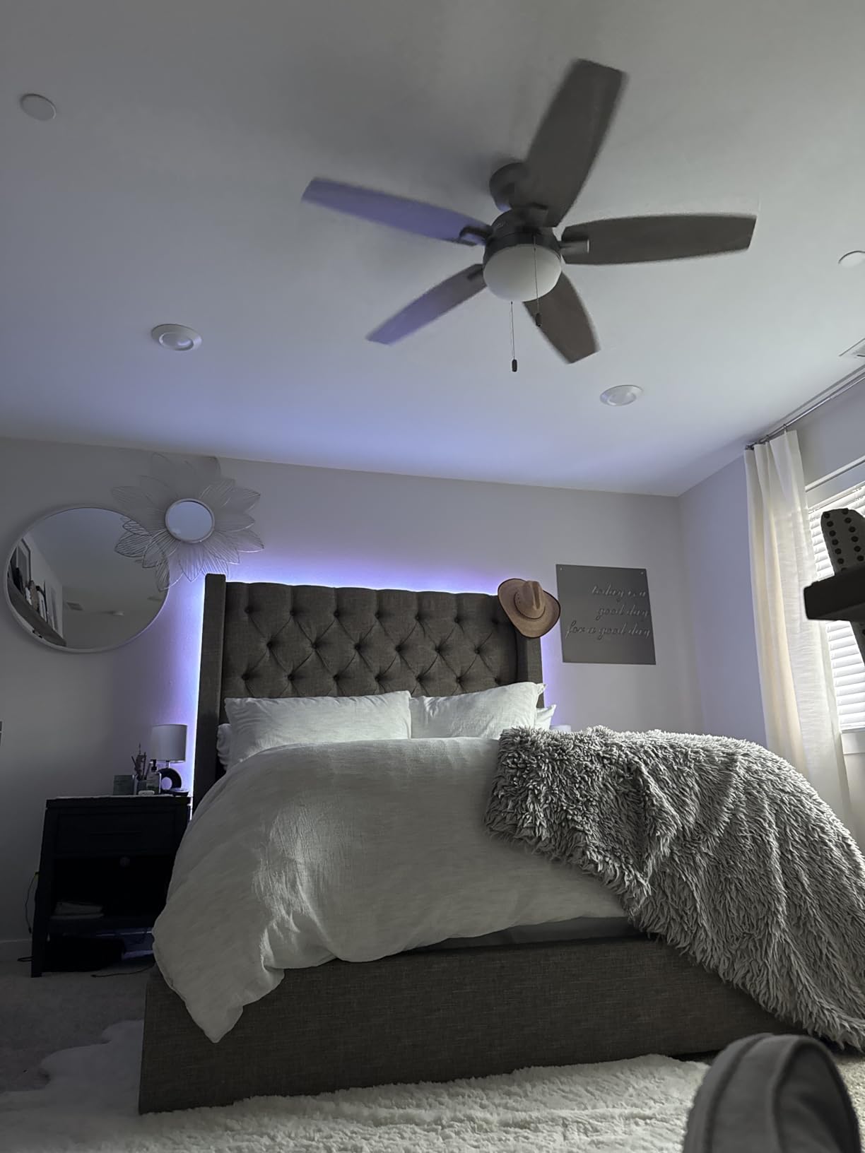 Lepro RGB LED Strip Lights, Christmas Decor, 16.4ft Flexible LED Light Strip, 5050 SMD LED, Color Changing Rope Light with Remote Controller and 24V Power Supply for TV Backlight, Home, Bedroom, Bar Customer Review Lepro RGB LED Strip Lights, Christmas Decor, 16.4ft Flexible LED Light Strip, 5050 SMD LED, Color Changing Rope Light with Remote Controller and 24V Power Supply for TV Backlight, Home, Bedroom, Bar - Customer Photo 1