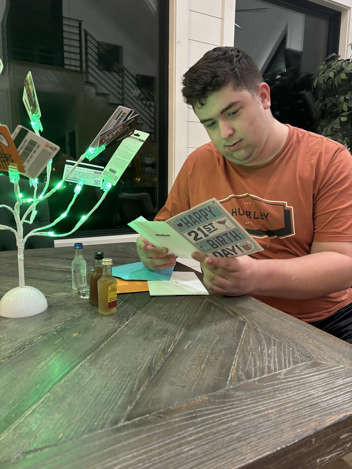 MEIN SCHATZ Money Tree Gift Card Holder with 10 Clips & LED Lighted Tips - White Money Tree Gift Holder for Cash - Ideal Present for Wedding, Birthday, Easter & Christmas - Photo & Gift Card Tree Customer Review MEIN SCHATZ Money Tree Gift Card Holder with 10 Clips & LED Lighted Tips - White Money Tree Gift Holder for Cash - Ideal Present for Wedding, Birthday, Easter & Christmas - Photo & Gift Card Tree - Customer Photo 1