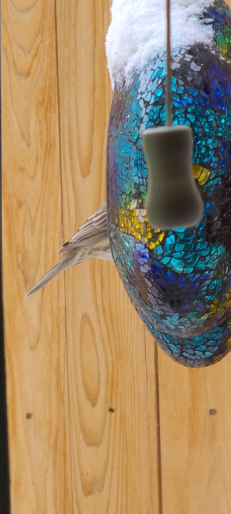 Sunnydaze 6-Inch Glass Mosaic Hanging Bird Feeder for Outdoors - Fly-Through Wild Bird Feeder - Rainbow Daisies - Customer Photo 3