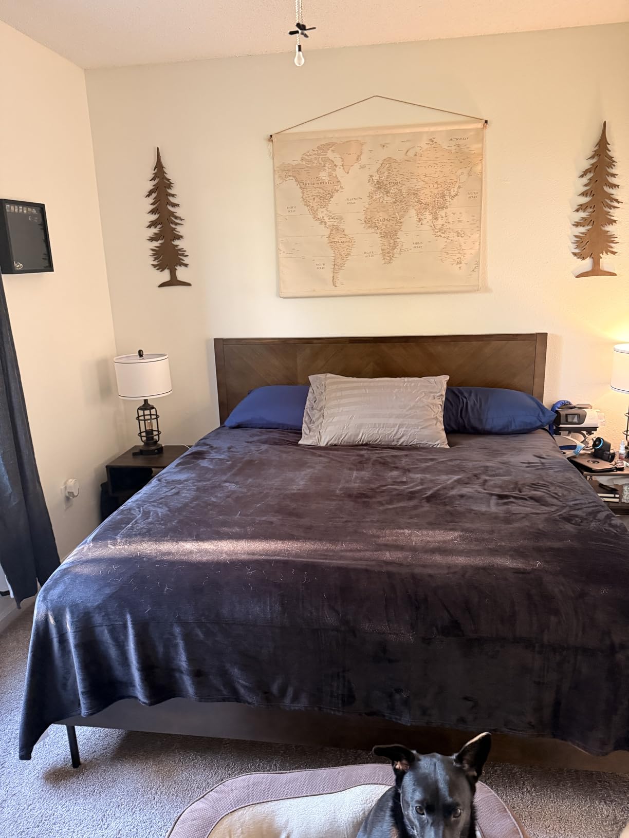 Bedsure GentleSoft Fleece Throw Blanket for Couch Black - Lightweight Plush Fuzzy Cozy Soft Halloween Blankets and Throws for Sofa, 50x60 inches - Customer Photo 1