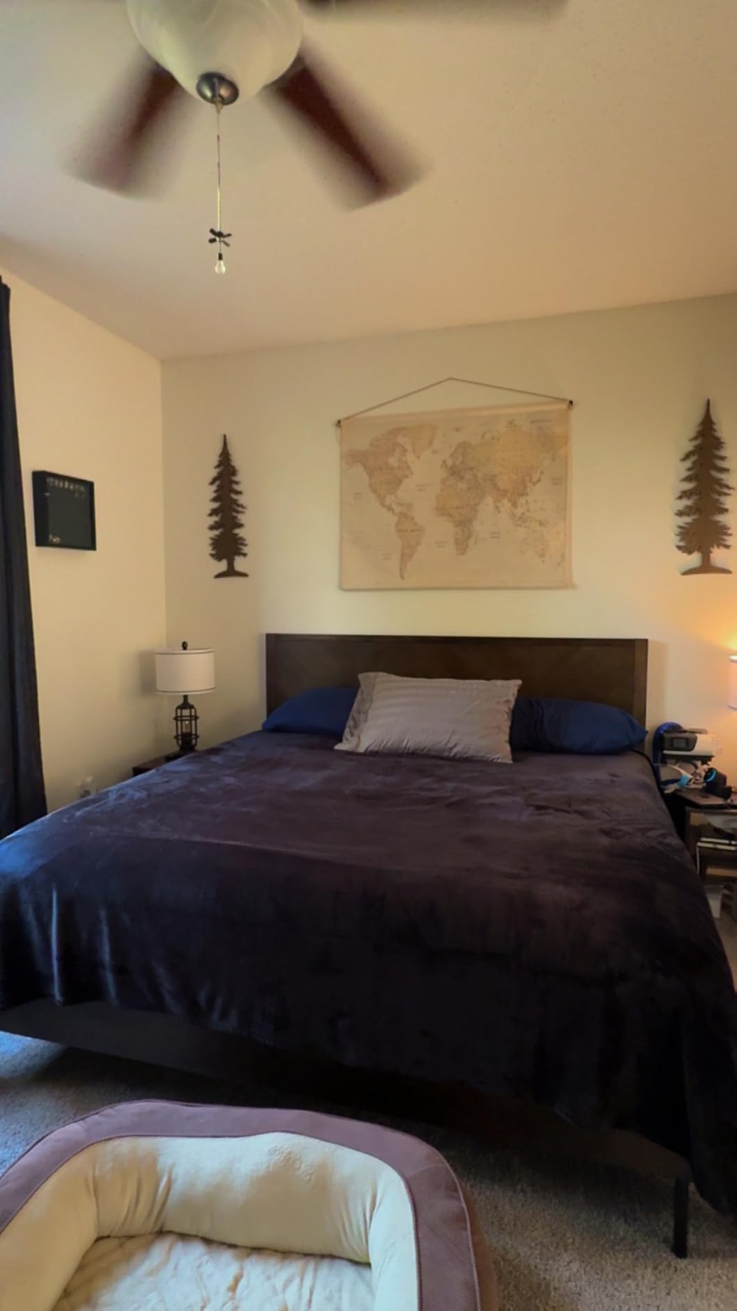 Bedsure GentleSoft Fleece Throw Blanket for Couch Black - Lightweight Plush Fuzzy Cozy Soft Halloween Blankets and Throws for Sofa, 50x60 inches - Customer Photo 2