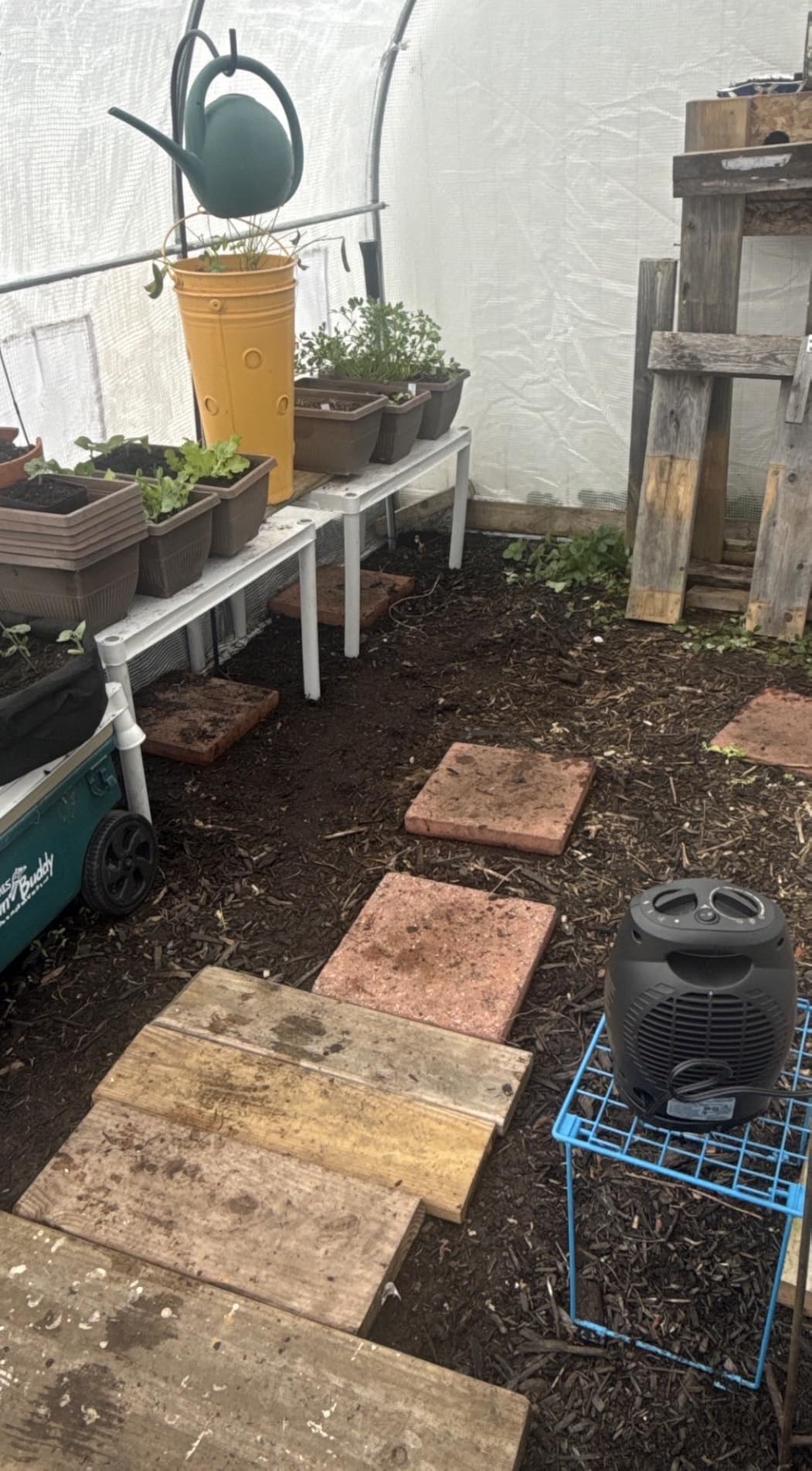 Amazon Basics Ceramic Space Heater, Portable Indoor Heating Solution, With Overheat and Tip-Over Protection, Thermostat, Non-Oscillating, 1500W, 7.52