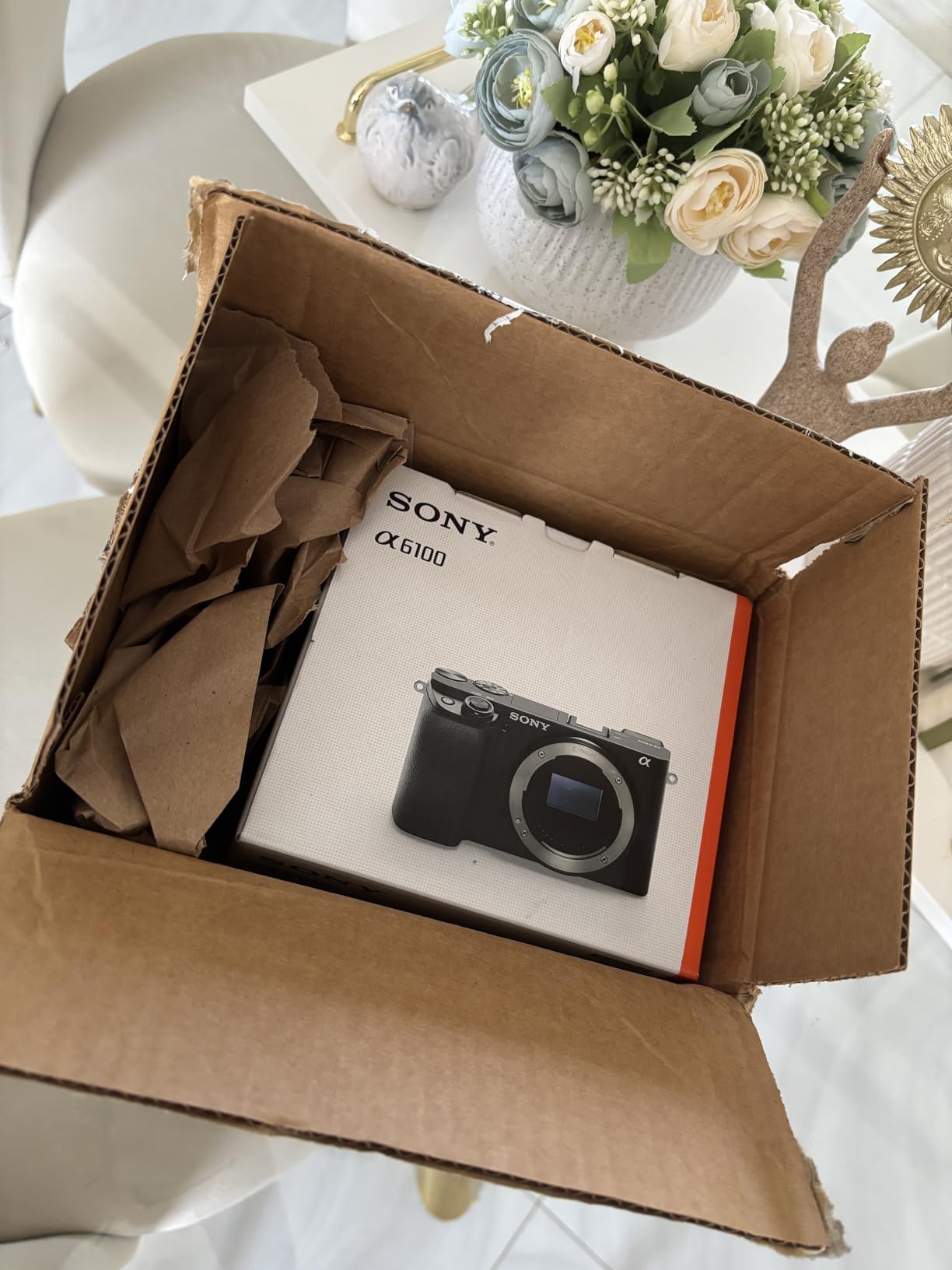 Sony Alpha A6100 Mirrorless Camera - Customer Photo 1