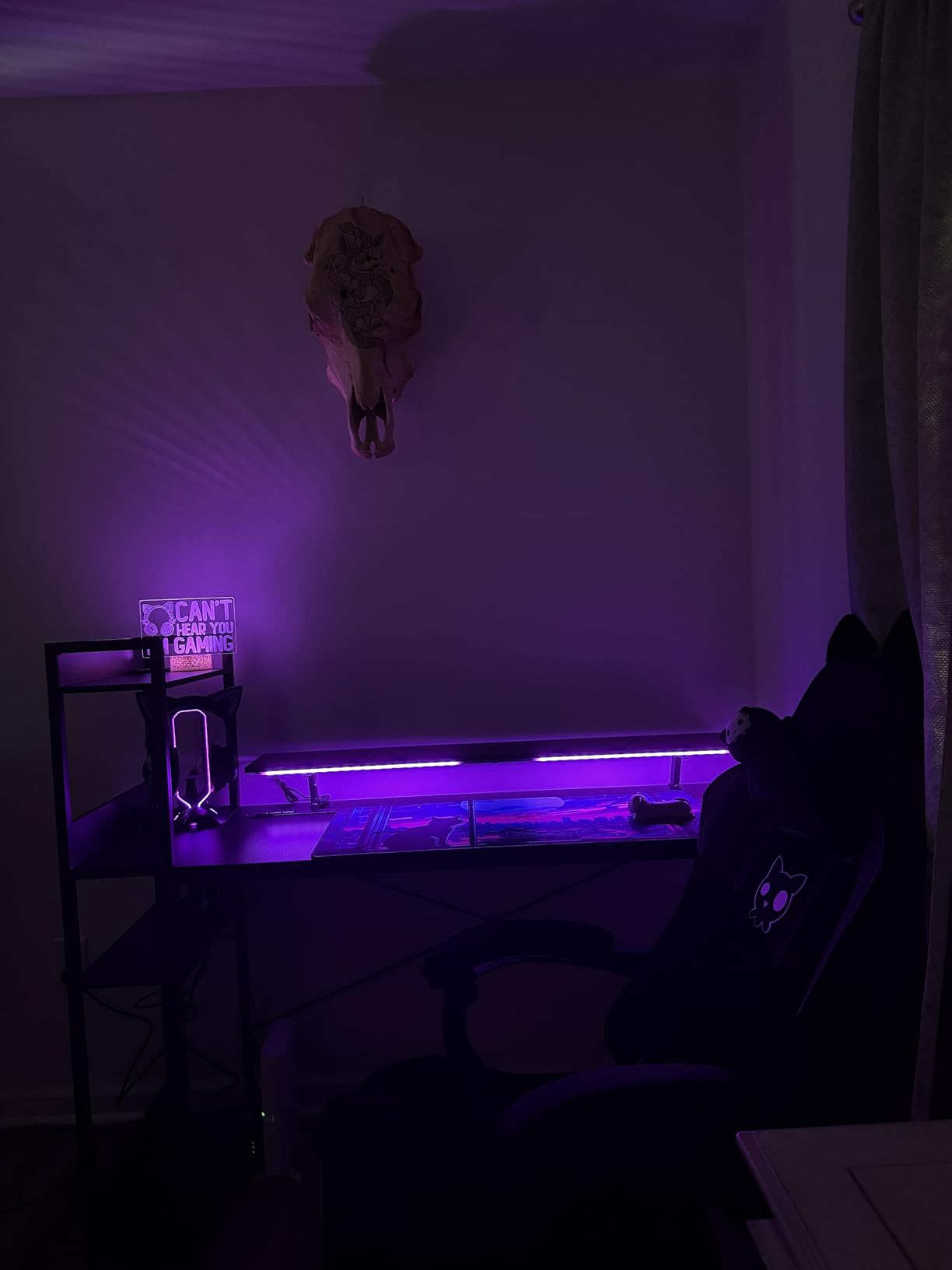 Tilted Nation Gaming Headset Stand | RGB Headphone Stand for Desk with Mouse Bungee and USB Hub (Cool and Clean Setup) Gaming Headset Holder - Perfect Gamer Gift Accessory - Customer Photo 1