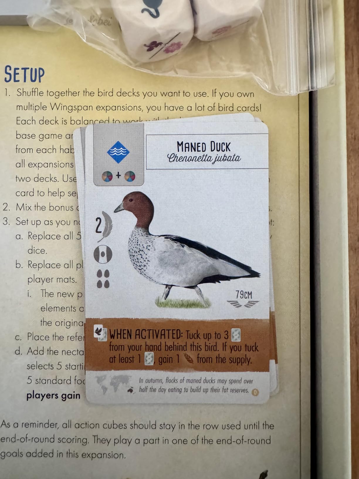 Stonemaier Games: Wingspan (Base Game) by Elizabeth Hargrave | A Relaxing, Award-Winning Strategy Board Game About Collecting Birds for Adults and Family | 1-5 Players, 70 Mins - Customer Photo 2