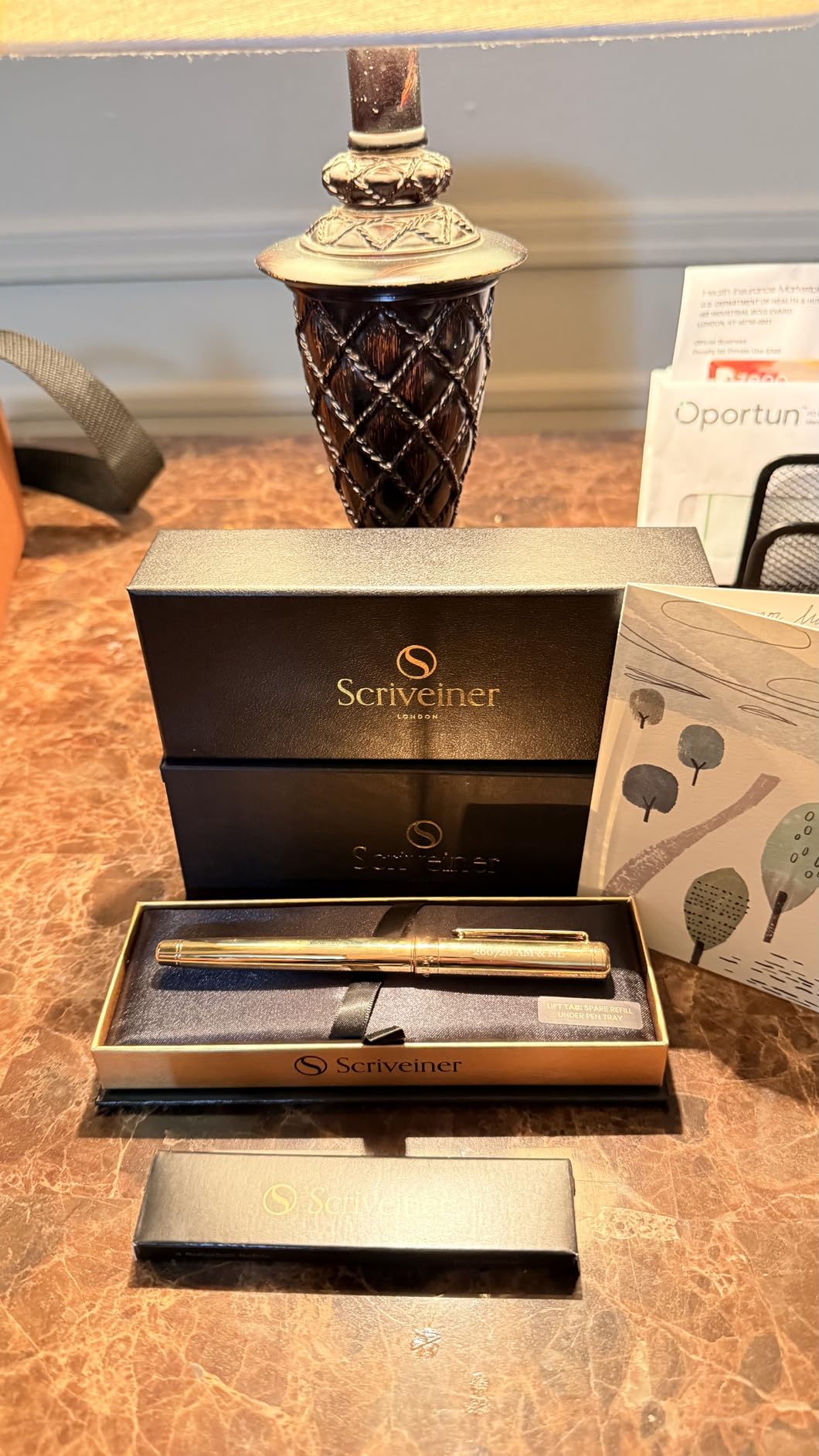 Scriveiner Silver Chrome Rollerball Pen - Stunning Luxury Pen, Real Gold Plating, Schmidt Ink Refill, Best Roller Ball Pen Gift Set for Men & Women, Professional, Executive Office, Fancy Pens - Customer Photo 3