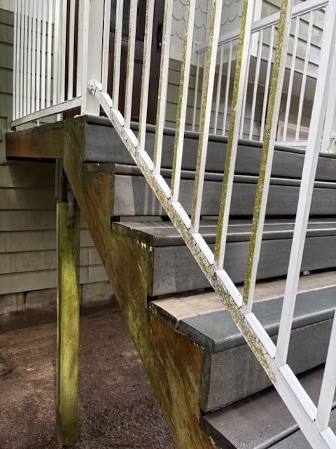 Westinghouse ePX3100 Electric Pressure Washer, 2300 Max PSI 1.76 Max GPM with Anti-Tipping Technology, Onboard Soap Tank, Pro-Style Steel Wand, 5-Nozzle Set, for Cars/Fences/Driveways/Home/Patios Customer Review Westinghouse ePX3100 Electric Pressure Washer, 2300 Max PSI 1.76 Max GPM with Anti-Tipping Technology, Onboard Soap Tank, Pro-Style Steel Wand, 5-Nozzle Set, for Cars/Fences/Driveways/Home/Patios - Customer Photo 2