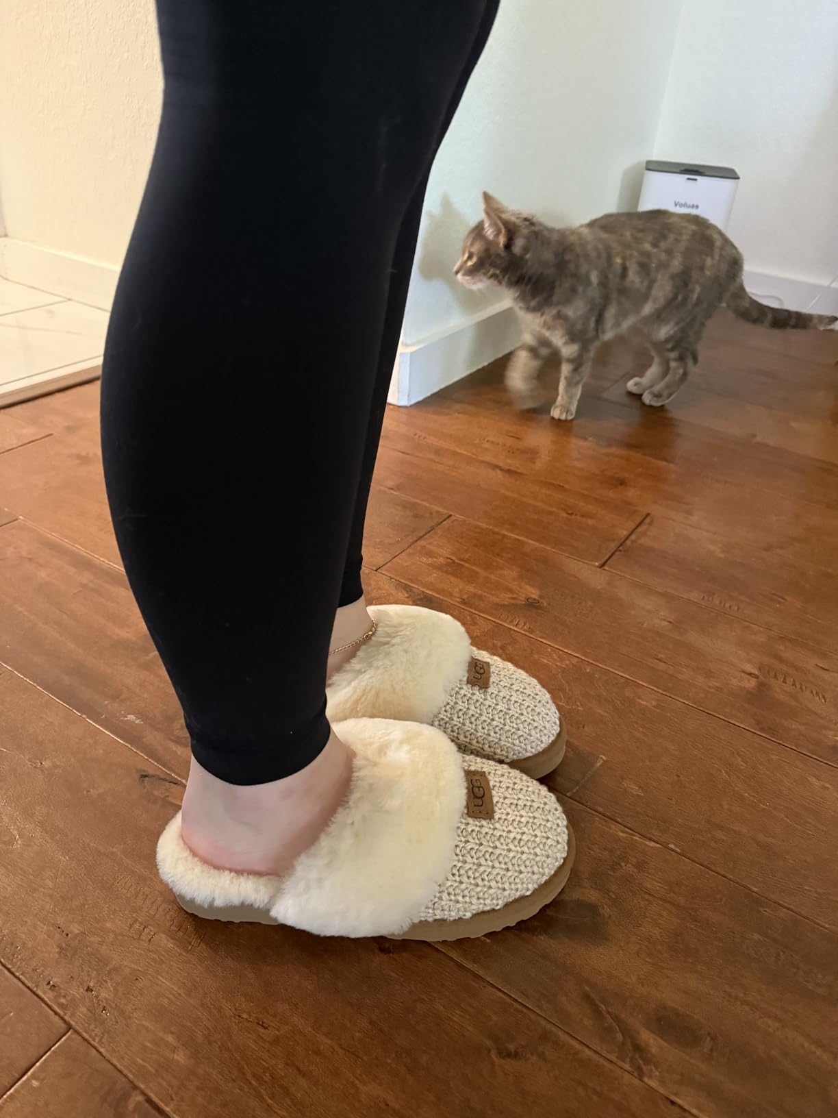 UGG Women's, Cozy Slipper - Customer Photo 2