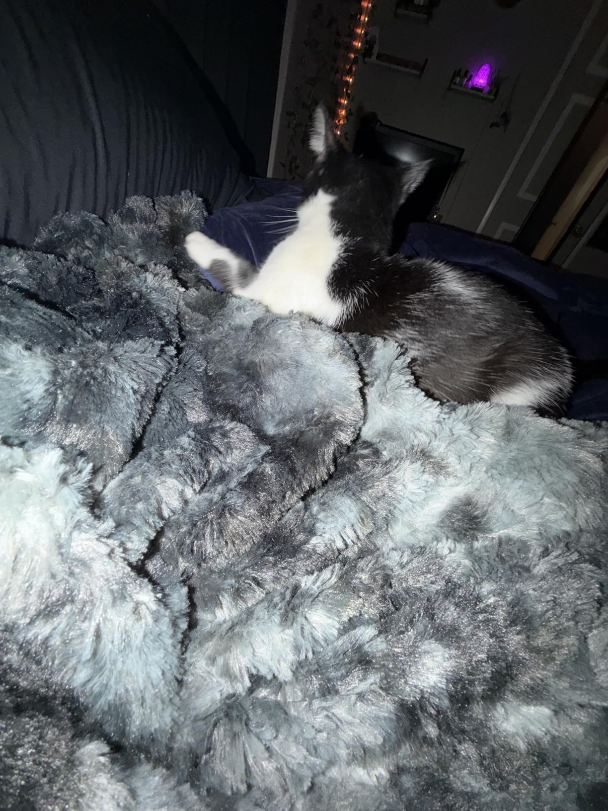 Everlasting Comfort Soft & Comfortable Black Faux Fur Throw Blanket for Couch - (50