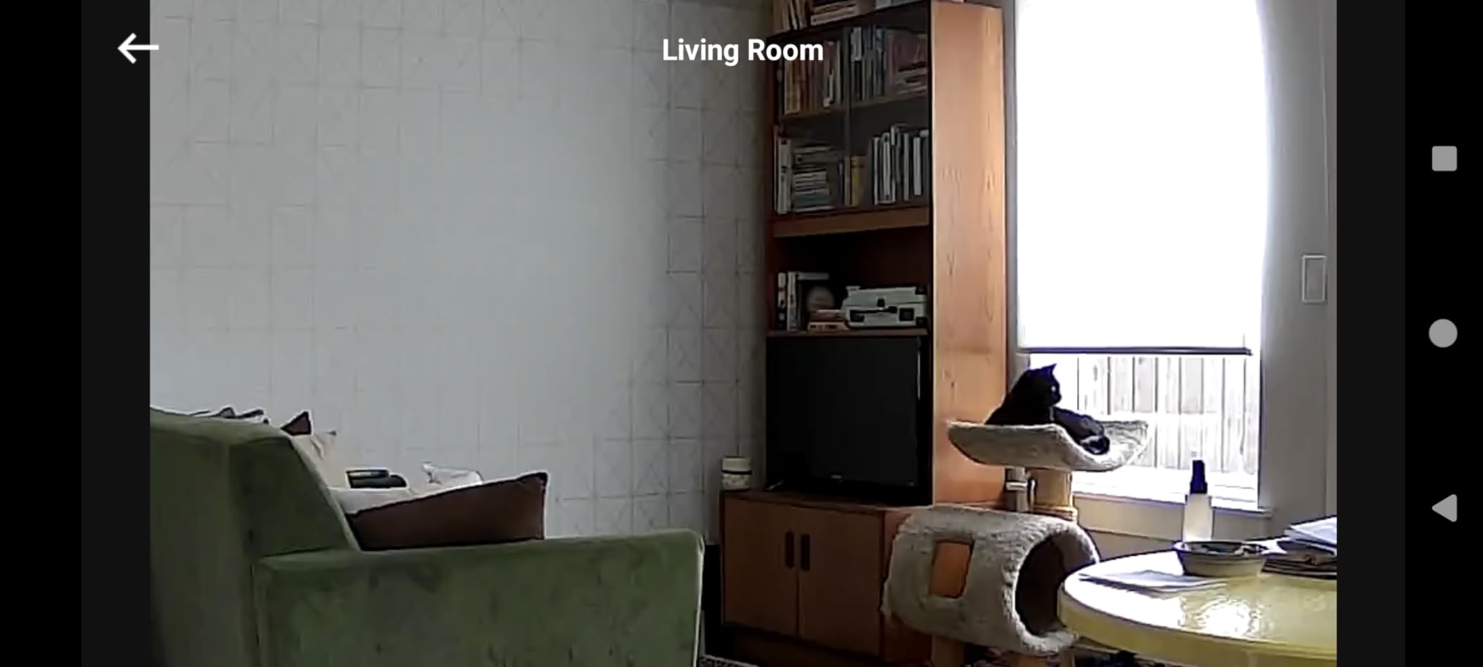 eufy Security Indoor Cam E220, Camera for home Security, Pan & Tilt, Dog/Pet Camera, 2K Wi-Fi Plug-in, Motion Tracking, Motion Only Alerts, Night Vision, HomeBase 3 Compatible, Voice Assistant Support Customer Review eufy Security Indoor Cam E220, Camera for home Security, Pan & Tilt, Dog/Pet Camera, 2K Wi-Fi Plug-in, Motion Tracking, Motion Only Alerts, Night Vision, HomeBase 3 Compatible, Voice Assistant Support - Customer Photo 2